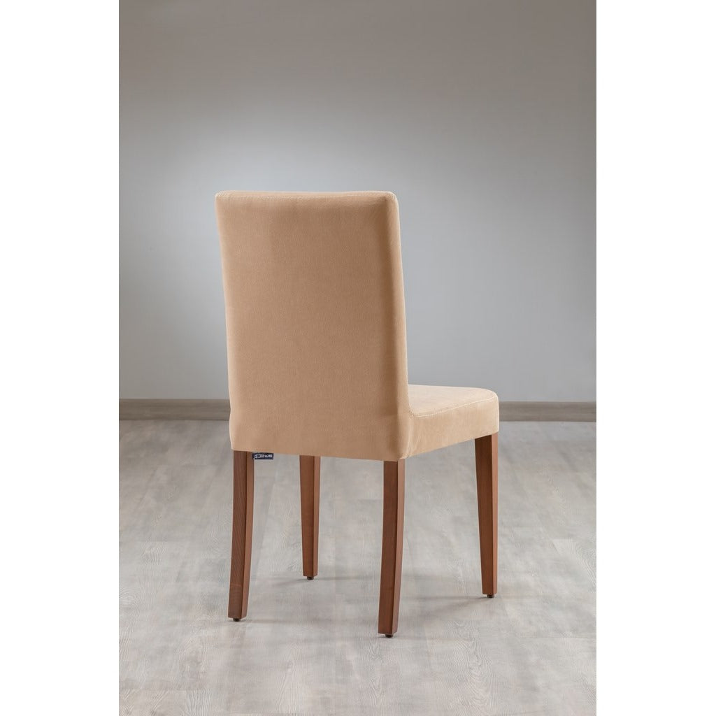 Dinning Chair 2